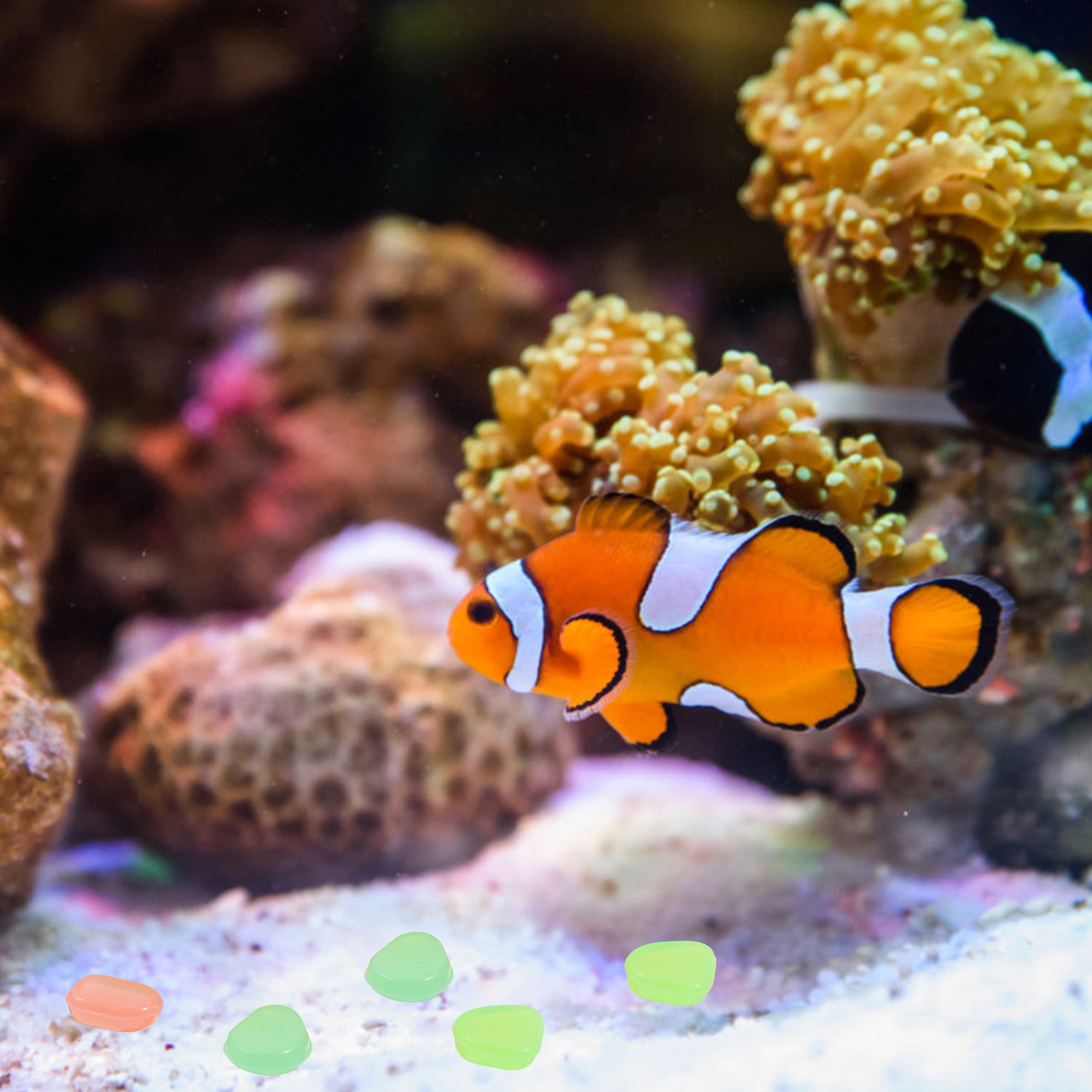 400 шт. светящихся в темноте к – обзор и цена Aquarium Fish Glow In The Dark