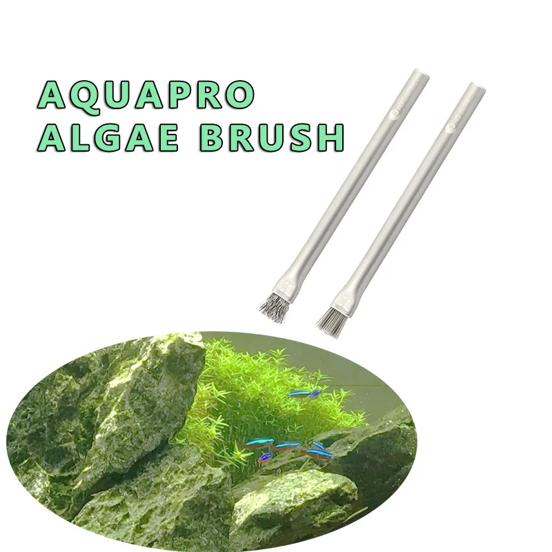 Щетка для чистки водорослей Aq – обзор и цена Cleaner Fish Aquarium