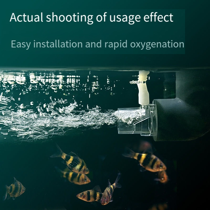 Кислородный диффузор, фильтр д – обзор и цена Aquarium Fish Without Oxygen